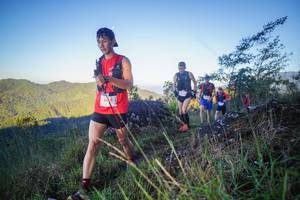 BIB: 805
                            <button type="button" onclick="openModal(19051976)" class="btn btn-primary btn-sm float-right btn-popup" data-toggle="modal" data-target=".modal-high-quality">
                        <i class="fas fa-shopping-cart"></i> Add to Cart
                    </button>
                                            <button type="button" onclick="isThisMe(19051976, true)" class="btn btn-success btn-sm float-right btn-popup btn-isme hidden" data-toggle="tooltip" data-placement="bottom" title="นี่คือรูปของคุณใช่ไหม คลิกที่นี่เพื่อเอาเข้าอัลบั้ม">
                        <i class="fas fa-plus"></i> Add to album
                    </button>
                    <button type="button" onclick="isThisMe(19051976, false)" class="btn btn-warning btn-sm float-right btn-popup btn-isnotme hidden">
                        <i class="fas fa-ban"></i> Remove from album
                    </button>